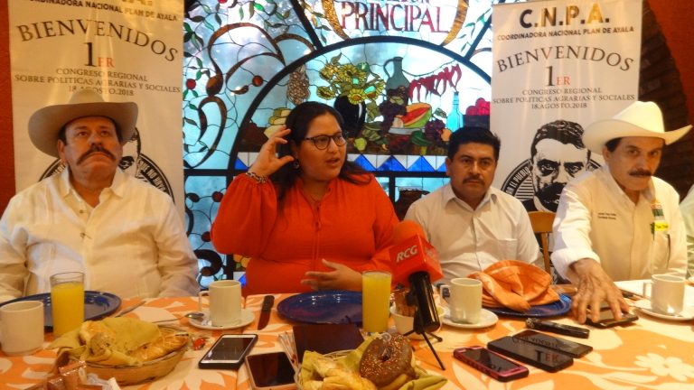 Buscarán senadores de Morena autosustentabilidad alimenticia de México