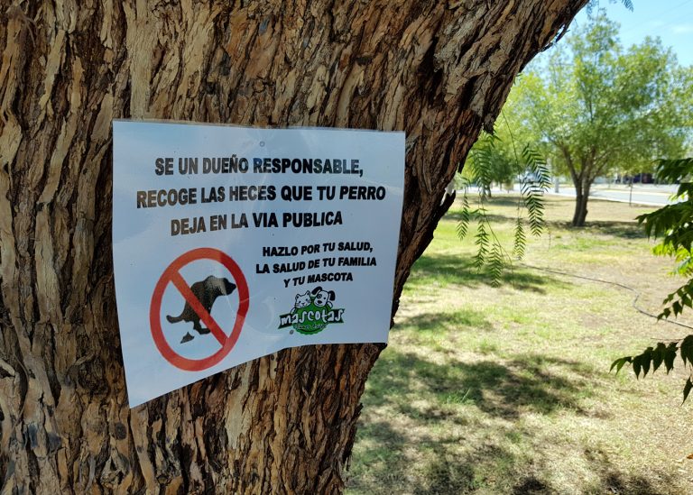 Promueven campaña de tenencia responsable de mascotas