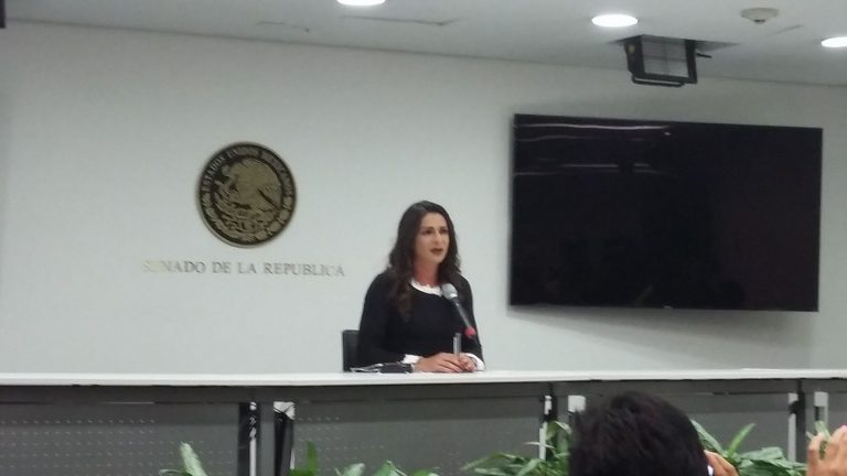 Gobernabilidad y estabilidad social, sin venganzas: Ana Gabriela Guevara