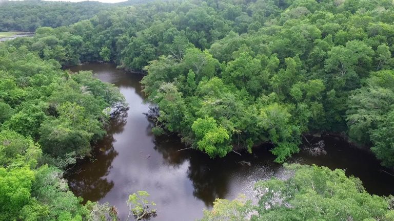 Áreas naturales protegidas y parques nacionales, seguros de vida a largo plazo