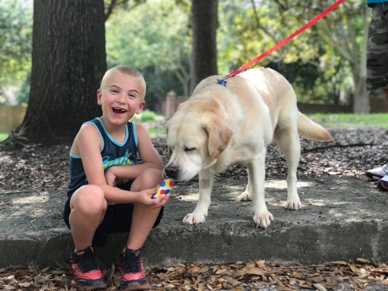 Con solo 7 años, este niño ha salvado a más de mil perros de la muerte