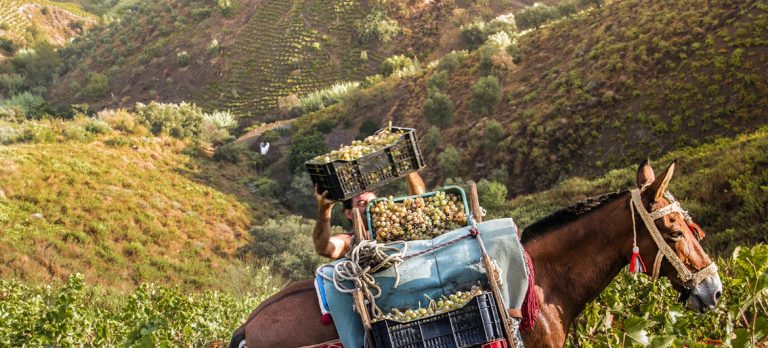 España ya es el segundo país más visitado del mundo; México el sexto