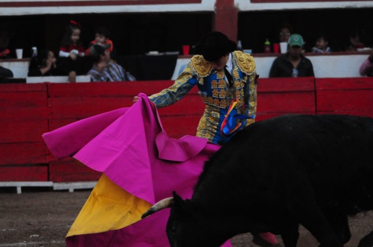 Insiste diputado federal en no autorizar corridas de toros