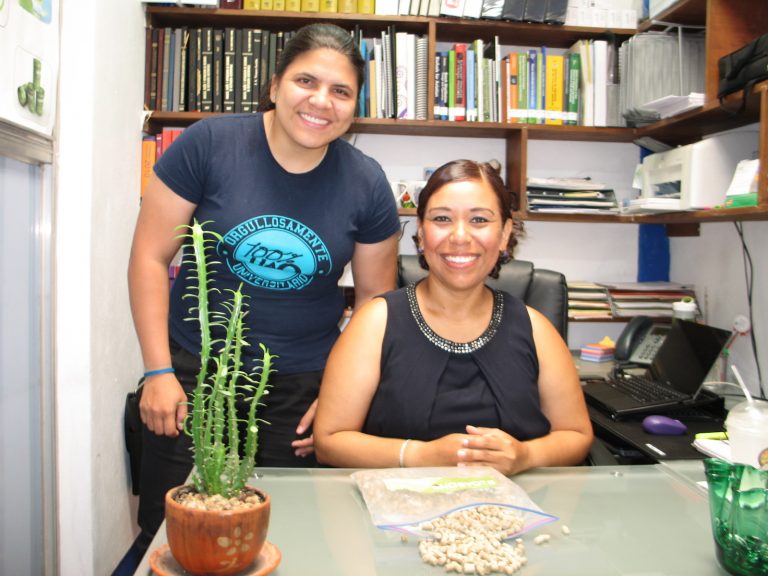 Investigadores mexicanos crean bioabono a base de desechos de jitomate y chile