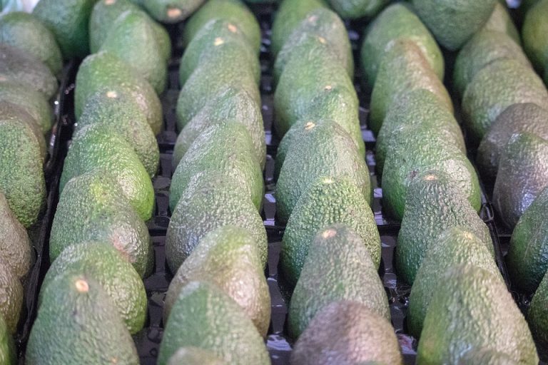 México mandó más aguacate a China en 6 meses que en todo 2017