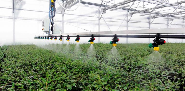 Triunfan universitarios mexicanos en competencia internacional de tecnología para invernaderos