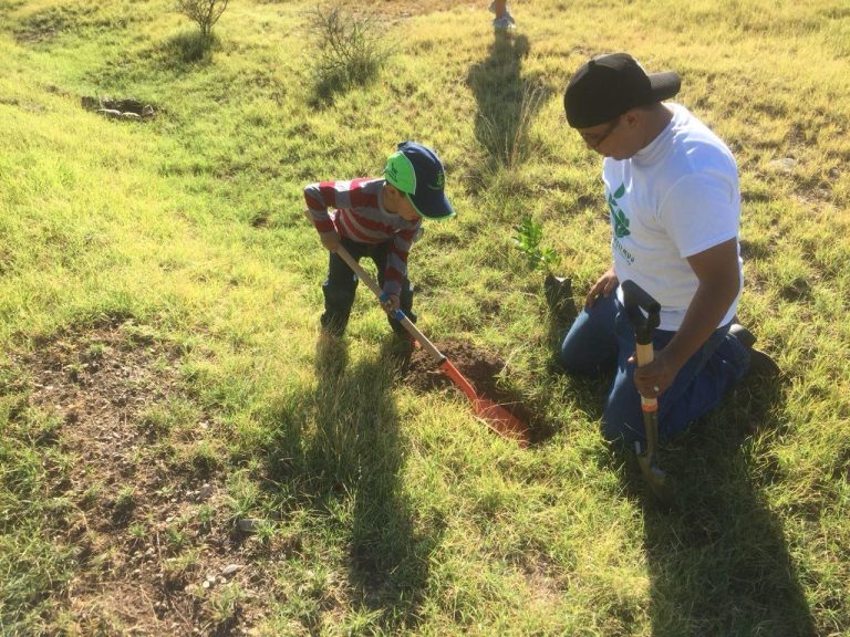 Quinientos árboles nuevos para Saltillo