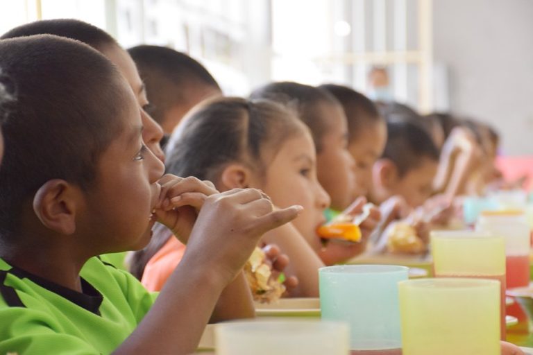 Usan WhatsApp para combatir sobrepeso y obesidad infantil