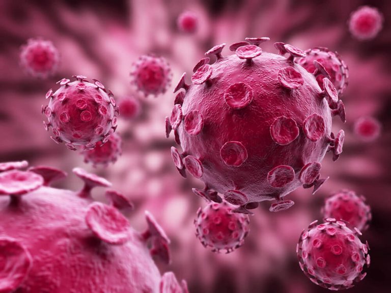 Virus del papiloma humano, tabaquismo y pobreza, causas del cáncer cervicouterino en México