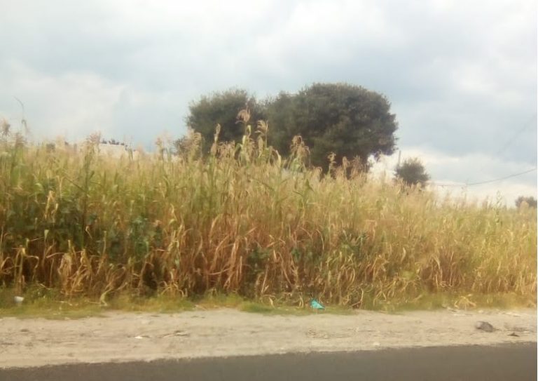 Volkswagen bombardea el cielo de Puebla: deja sin lluvias ni cosecha a campesinos