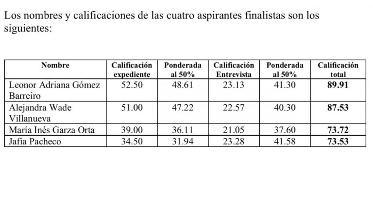 Continúa proceso de selección para nueva consejera ciudadana del SEA