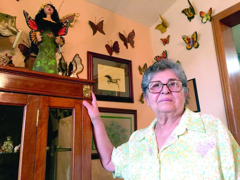 Una mujer cuida a las mariposas monarca en Saltillo