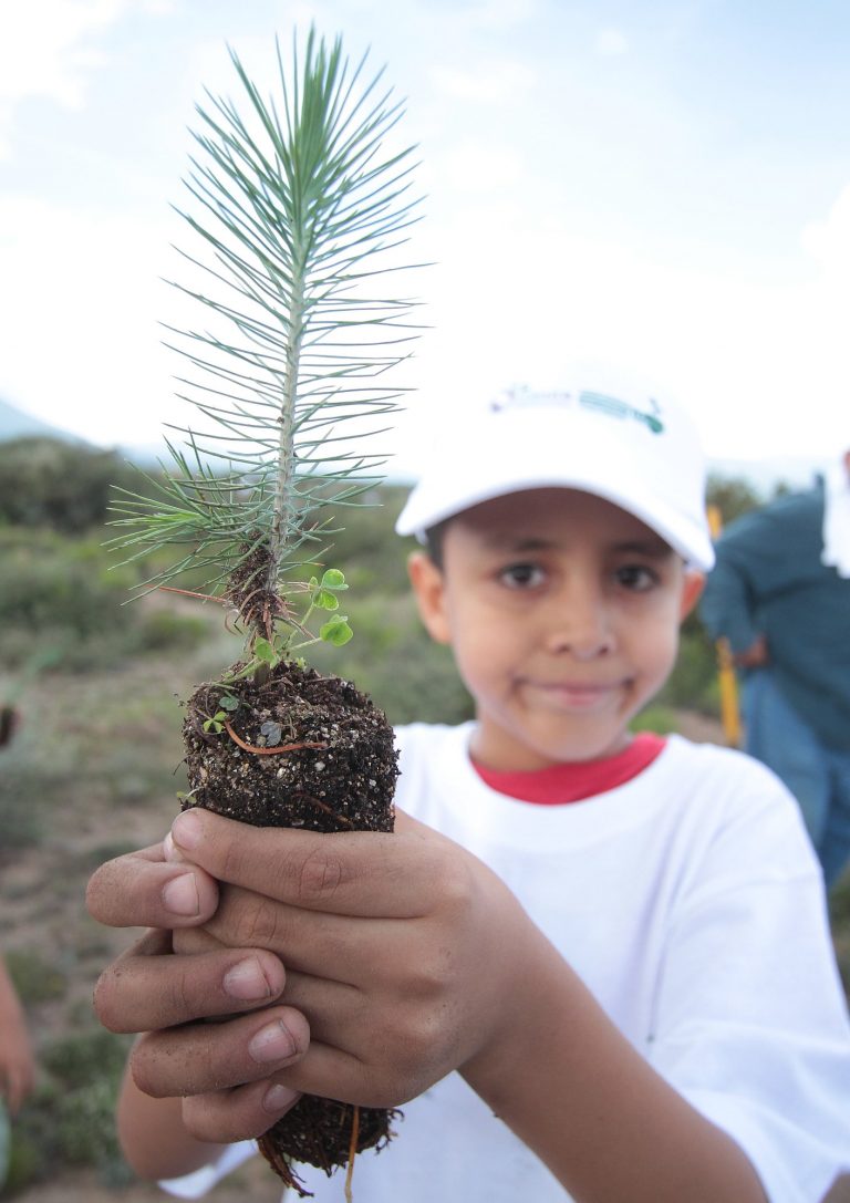 Federación destinó 1.2 MDP para desarrollo de 18 proyectos ambientales en Coahuila