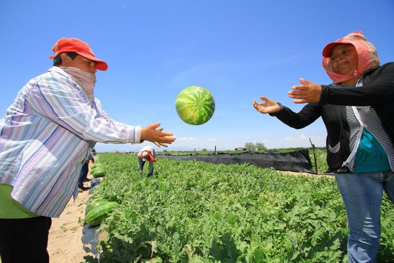 Gestoría del Estado Multiplica respaldos de financiera rural a productores