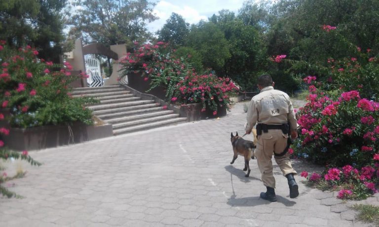 Realiza Comisión de Seguridad recorridos preventivos con unidad canina