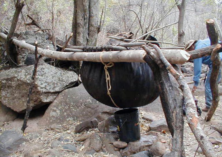 Los prehispánicos destilaban mezcal, confirman especialistas de la UNAM