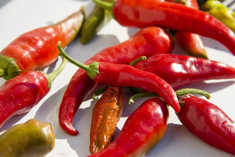 Capsaicina, la molécula picante contra la obesidad