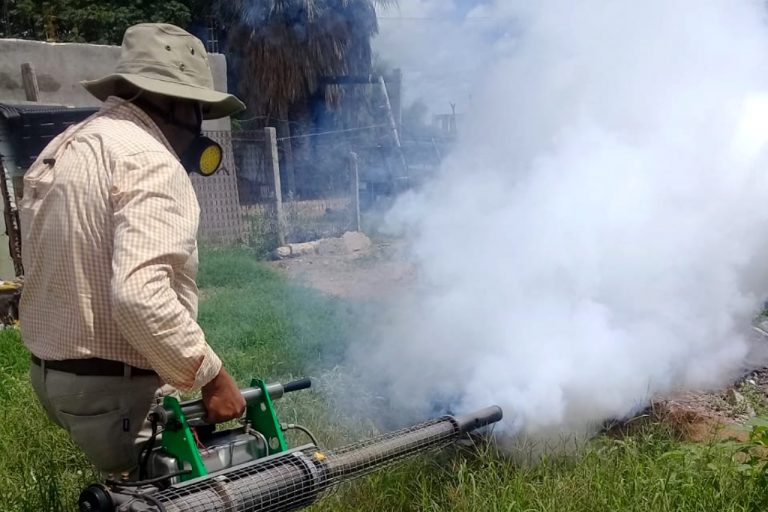 Con éxito, acciones para prevenir el dengue en Madero y San Pedro: jurisdicción sanitaria