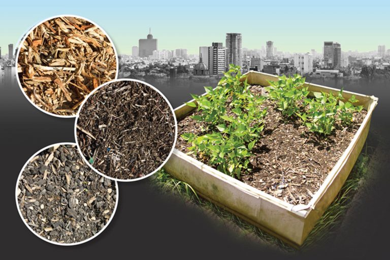 Desarrollan en la UNAM tecnosuelos para reverdecer la Ciudad de México