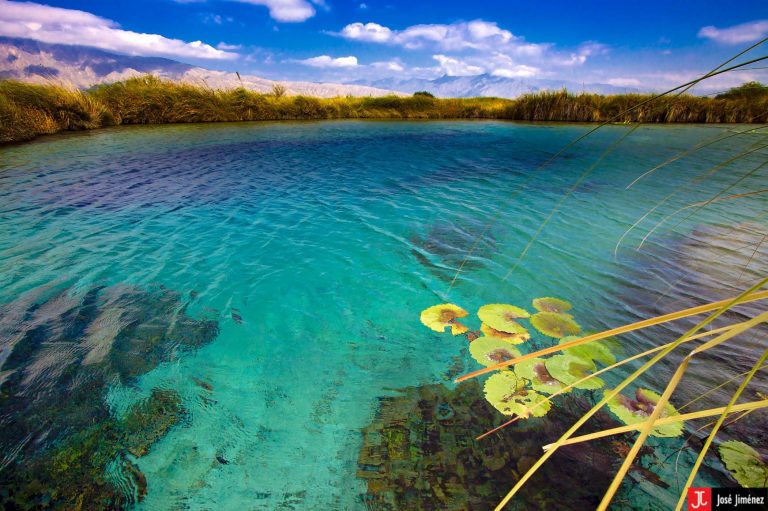 Invita UA de C al Simposio Biodiversidad en Coahuila: Cuatrociénegas