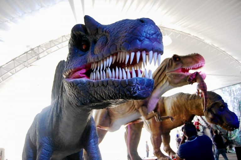 Invita MUDE a aprovechar entrada general a la exposición Coahuila Tierra de Dinosaurios a solo 50 pesos