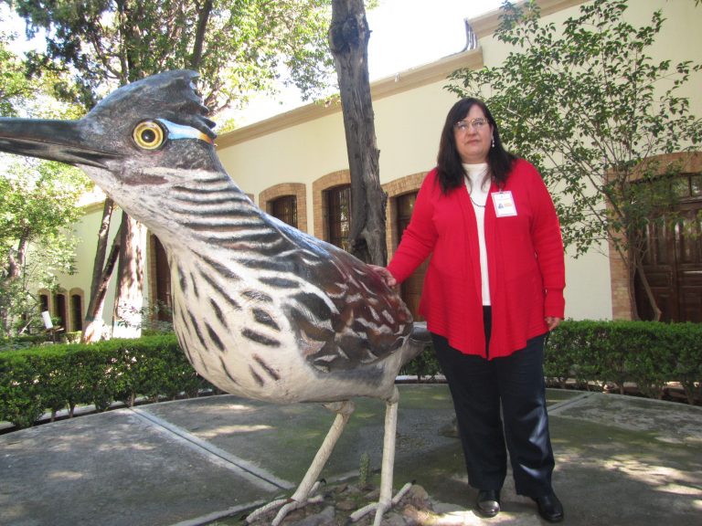 Todo listo para XVI Congreso de Ornitología en el Museo de las Aves