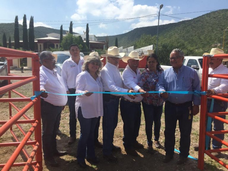 Entregan a productores del campo corrales de manejo bovino en la Región Centro