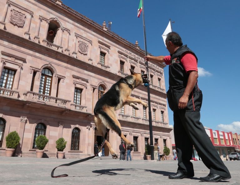 Coahuila vivirá la VII Feria del Día Mundial de los Animales