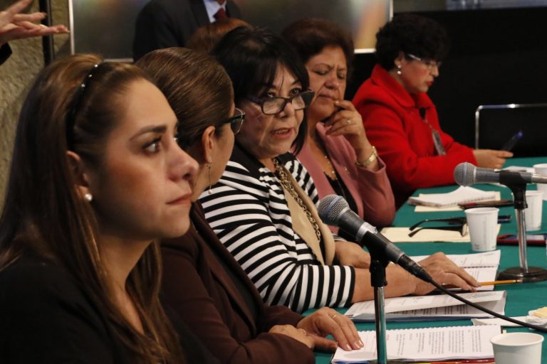 Personas con discapacidad y adultos mayores son la prioridad: diputada Martha Garay