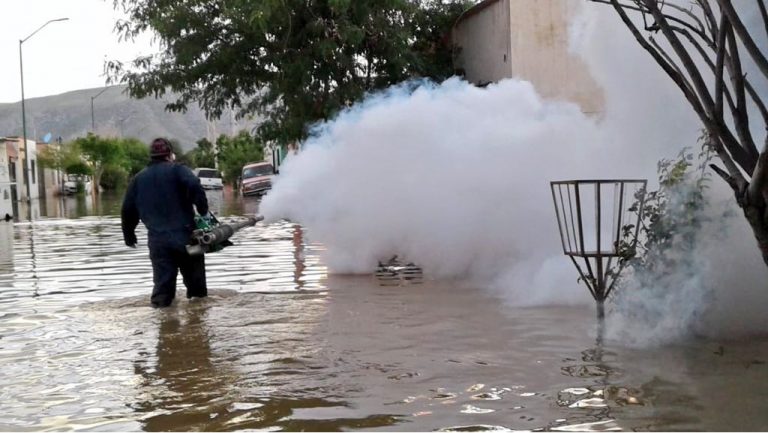 Exhorta Secretaría de Salud a prevenir casos de dengue