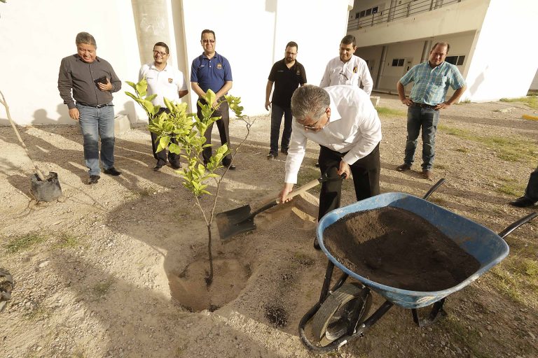 “Planta Un Árbol”, un reto que impulsa el cuidado del medio ambiente