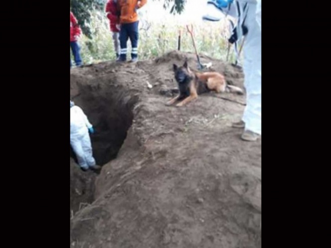 Hallan 8 cuerpos en una fosa clandestina en Puebla