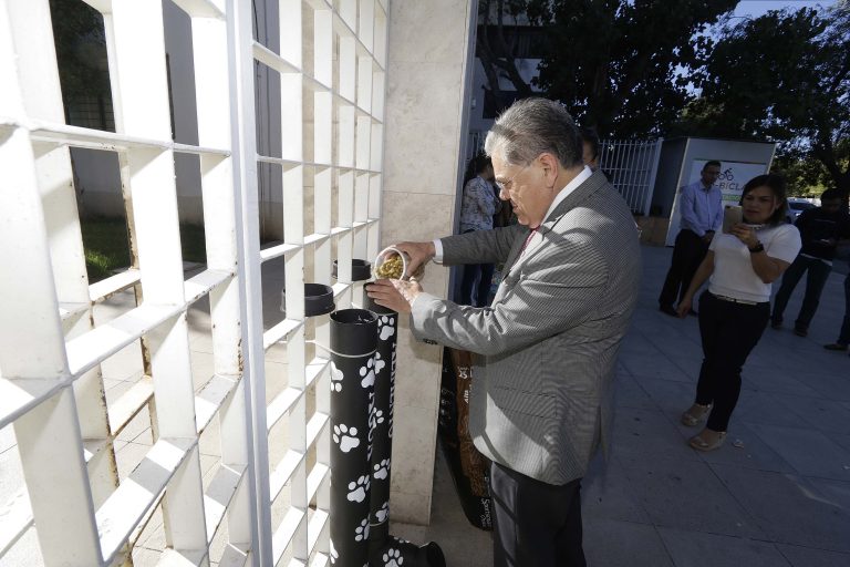 Instalan dispensadores de alimento y agua para animales