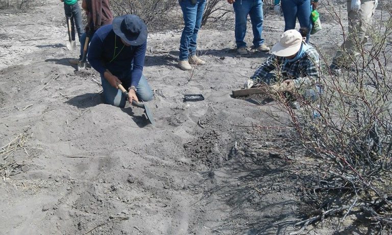 Sin concluir recuperación de restos en fosas clandestinas