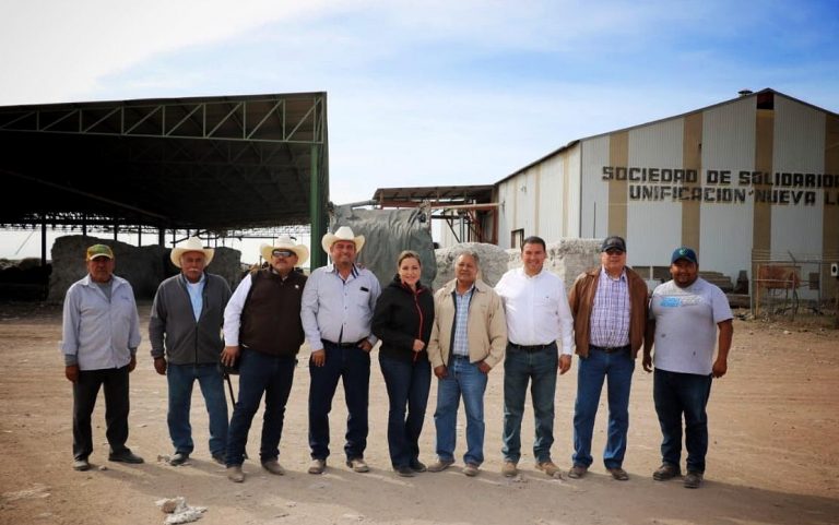 Solicita Verónica Martínez aumentar los recursos de Proagro Productivo