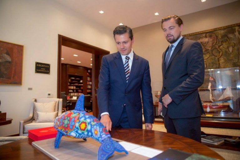 Leonardo DiCaprio no ha dado ni un peso para vaquita marina