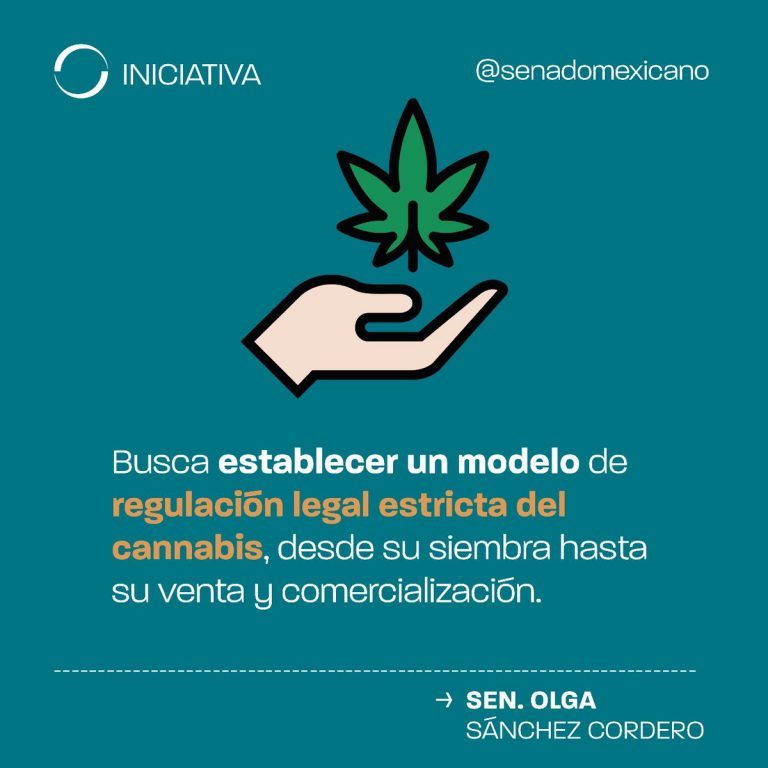 Morena presenta histórica iniciativa para legalizar venta y consumo de mariguana