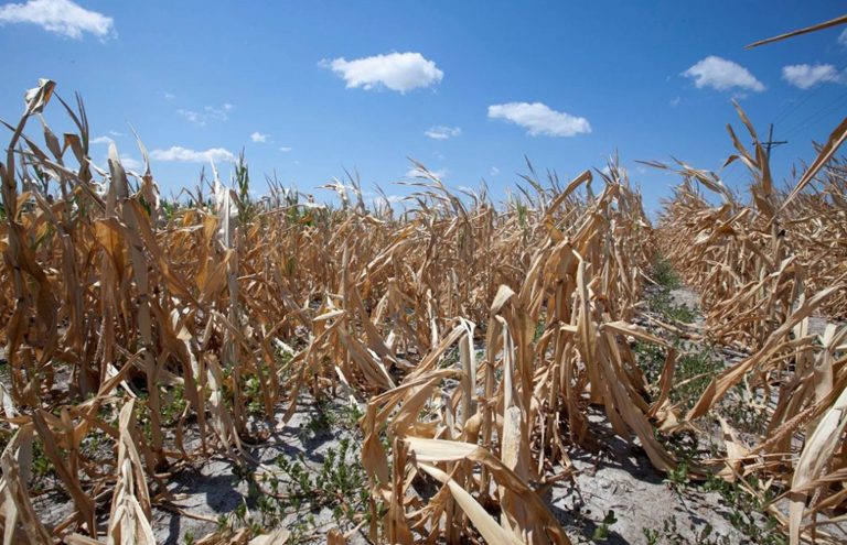 Para fin de siglo, pérdidas de hasta dos veces el PIB si no se atiende el cambio climático  