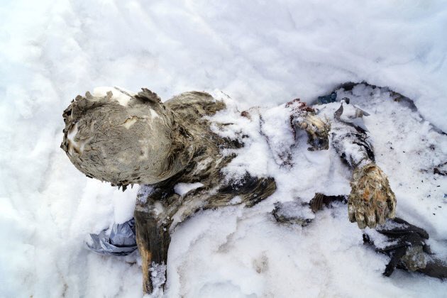 Rescatan del Pico de Orizaba cuerpos de tres alpinistas… ¡59 años después!