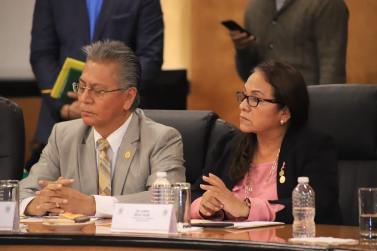 Trabajaré por un país pacífico de la mano de AMLO, dice diputada tras asesinato de su hija