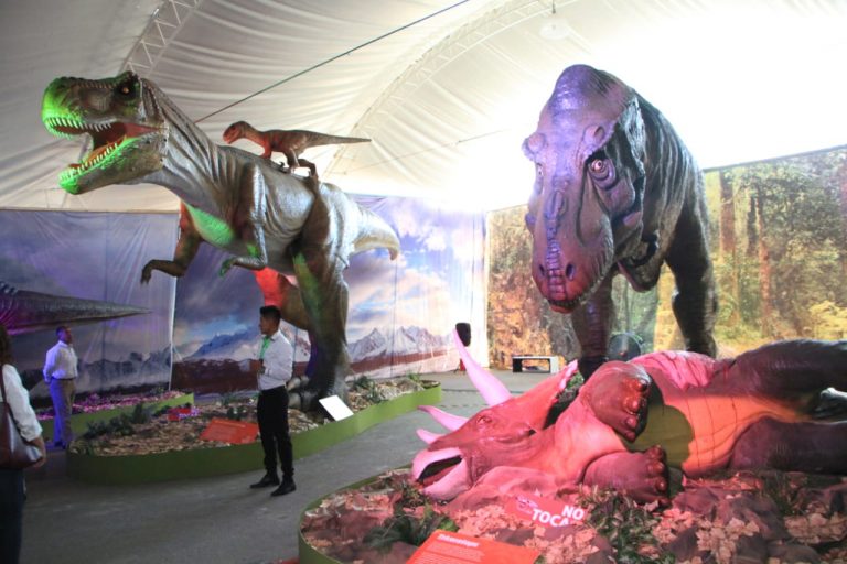 Seguirá exposición “Coahuila Tierra de Dinosaurios” durante todo este mes de diciembre