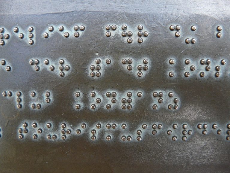 El mundo celebra el primer Día Mundial del Braille