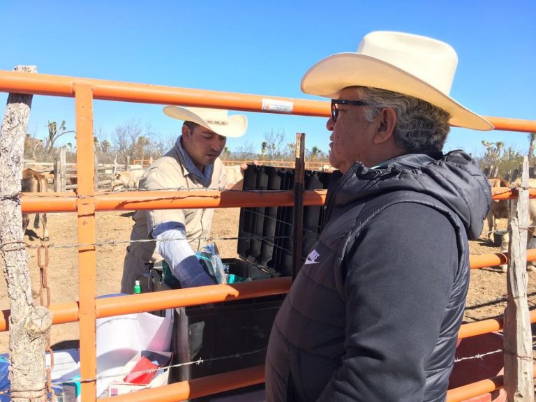 No se puede descuidar al sector agropecuario: Secretario de Desarrollo Rural 