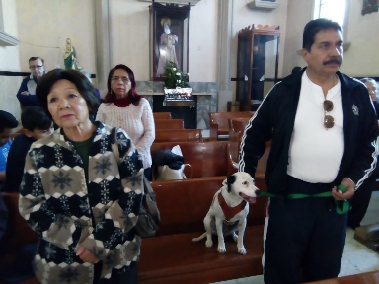 Reciben mascotas bendición en Parroquia San Esteban 