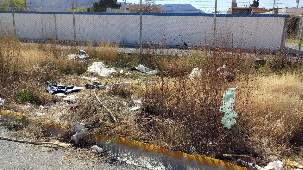 Reportan vecinos basurero clandestino en la 26 de marzo