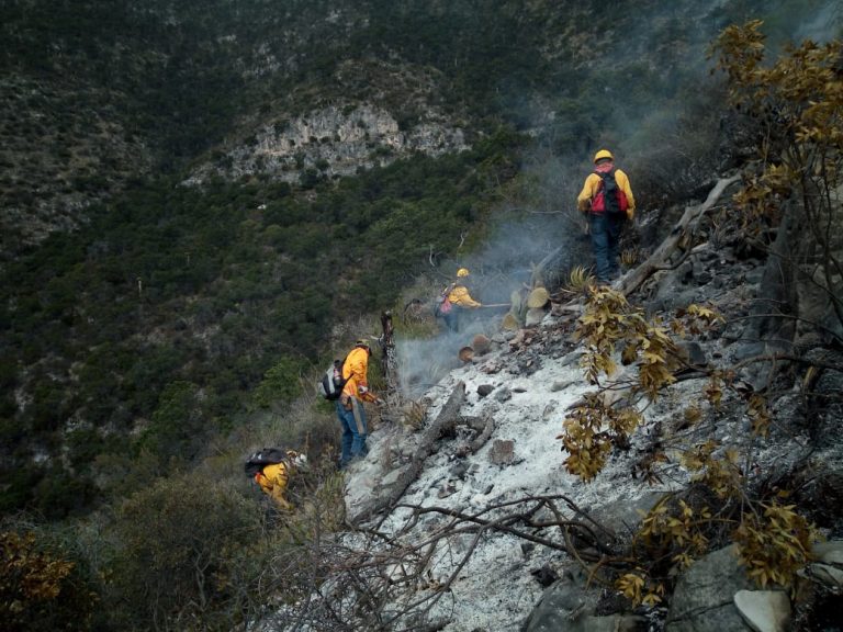 Controlan al 80 por ciento incendio forestal en Arteaga