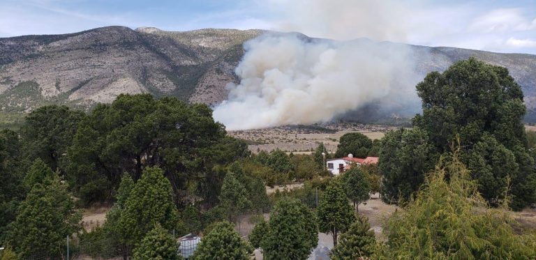 Fuera de control incendio en la Sierra de Arteaga