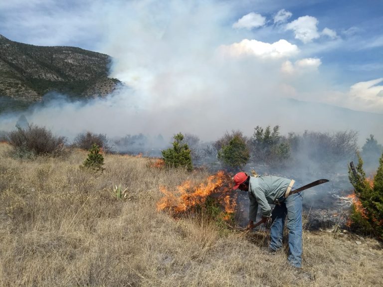 Combaten brigadistas de Coahuila incendio en ‘El Diamante’