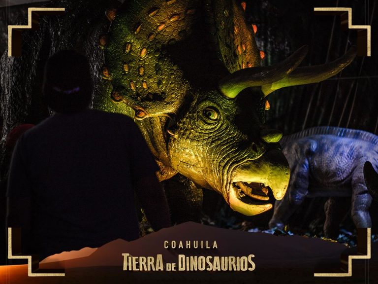 Este domingo es el último día de la exposición “Coahuila Tierra de Dinosaurios” del MUDE