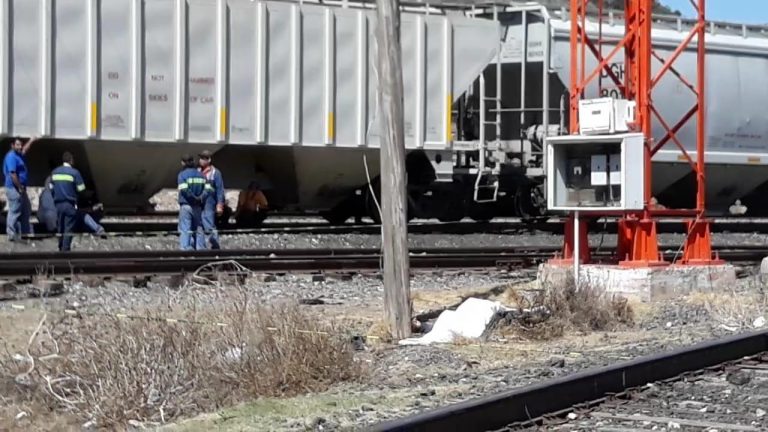 Intenta evitar que su hijo se suicide y se mata al caer de antena